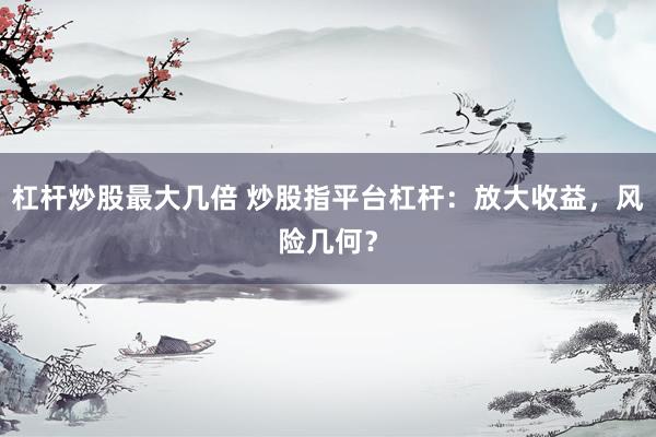 杠杆炒股最大几倍 炒股指平台杠杆：放大收益，风险几何？