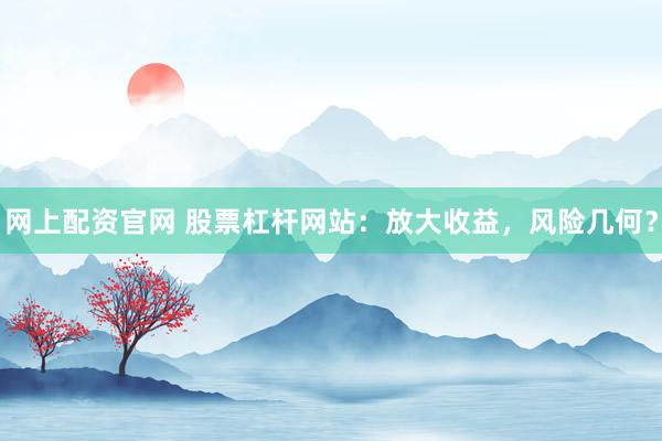 网上配资官网 股票杠杆网站：放大收益，风险几何？