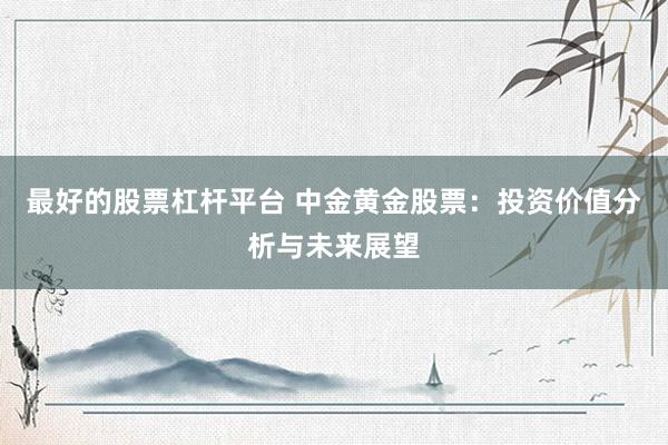 最好的股票杠杆平台 中金黄金股票：投资价值分析与未来展望