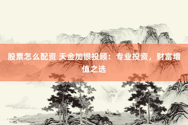股票怎么配资 天金加银投顾：专业投资，财富增值之选
