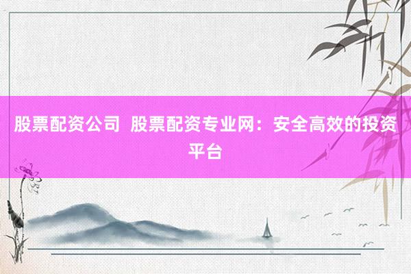 股票配资公司  股票配资专业网:安全高效的投资平台