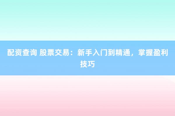 配资查询 股票交易:新手入门到精通,掌握盈利技巧