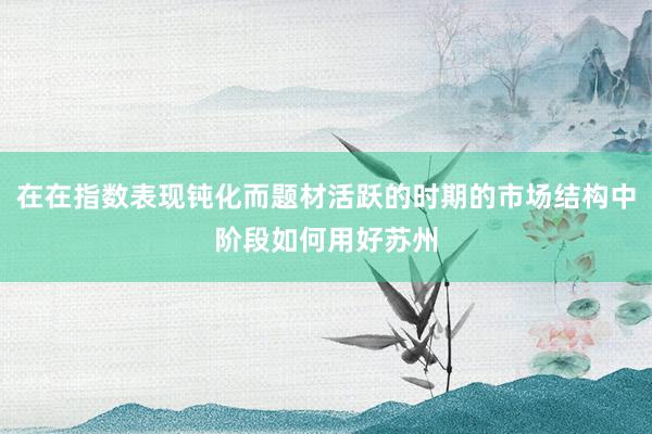 在在指数表现钝化而题材活跃的时期的市场结构中阶段如何用好苏州