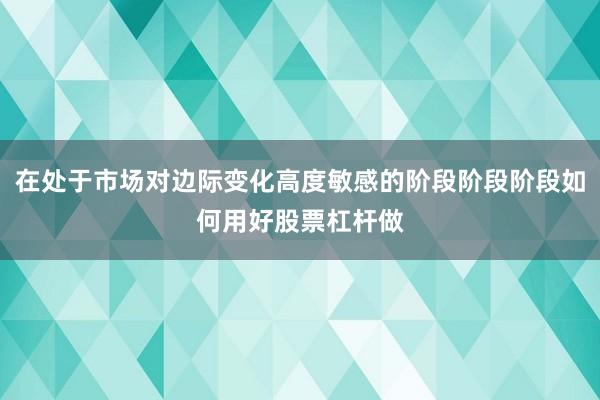 在处于市场对边际变化高度敏感的阶段阶段阶段如何用好股票杠杆做