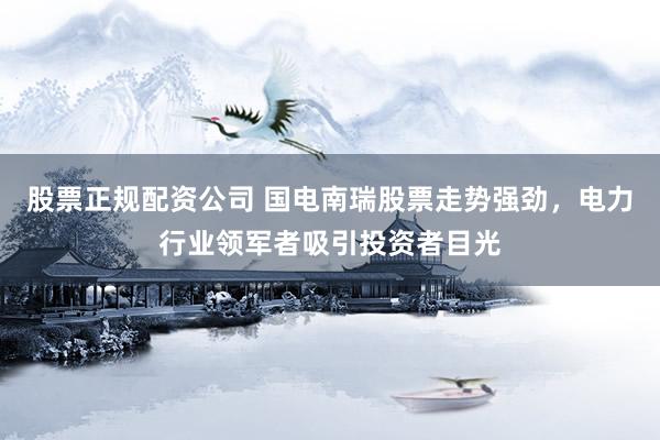 股票正规配资公司 国电南瑞股票走势强劲，电力行业领军者吸引投资者目光
